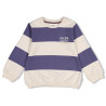 Sturdy Sweater streep - Rock the Earth Blauw