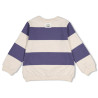 Sturdy Sweater streep - Rock the Earth Blauw