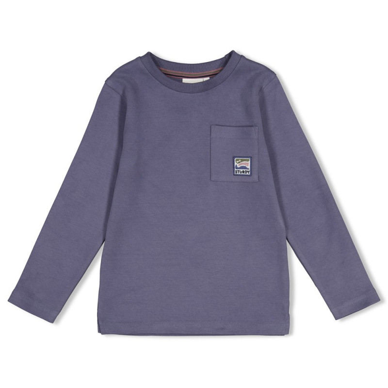 Sturdy Longsleeve met backprint - Rock the Earth Blauw