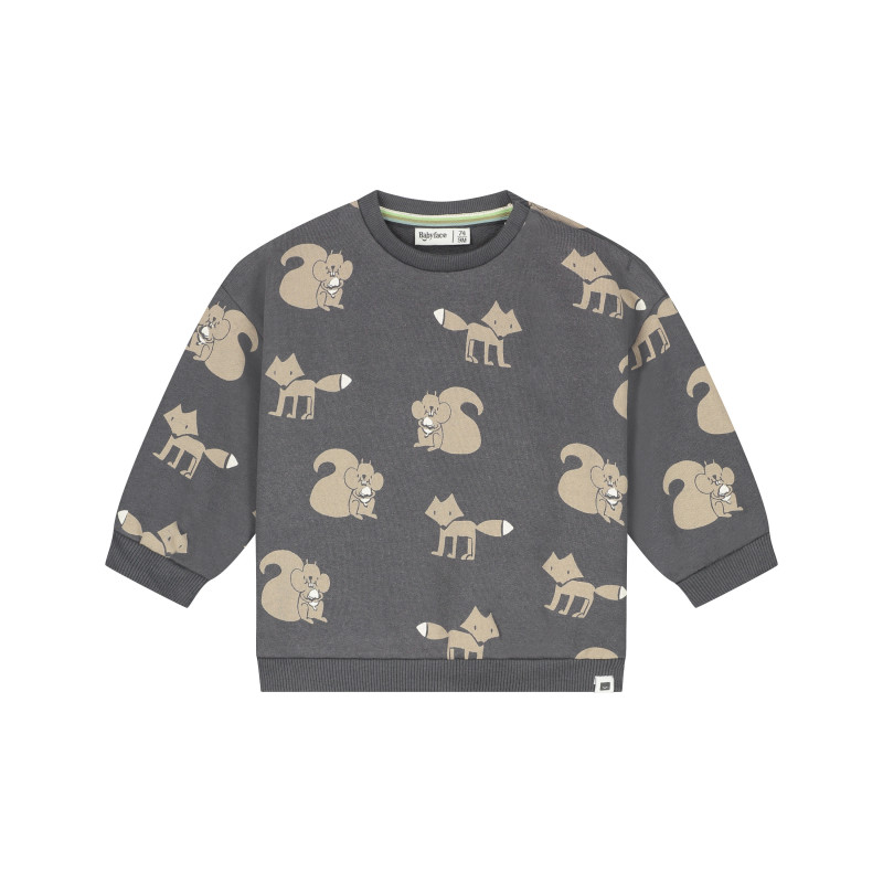 Babyface baby boys sweatshirt Antra