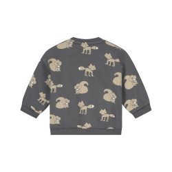 Babyface baby boys sweatshirt Antra