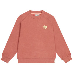 Tumble 'N Dry Cherise canyon rose