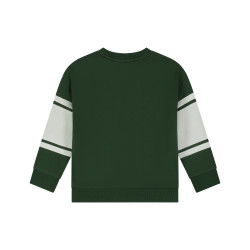 Stains and Stories boys sweatshirt Forest