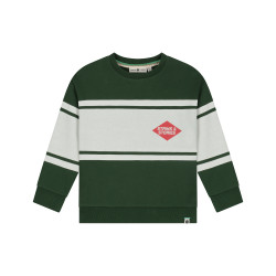 Stains and Stories boys sweatshirt Forest
