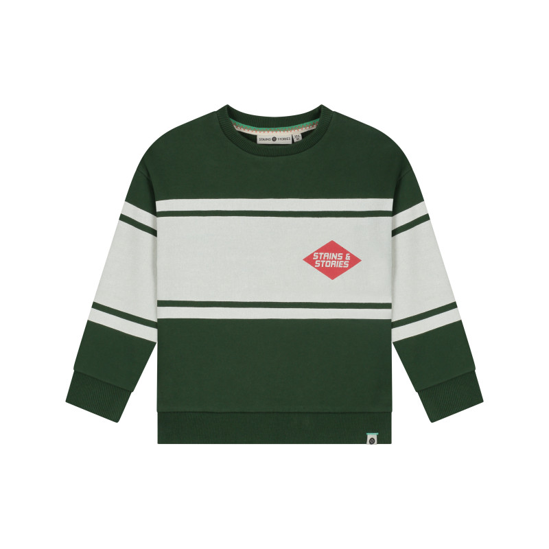 Stains and Stories boys sweatshirt Forest