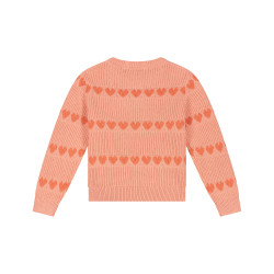 Stains and Stories girls pullover Salmon