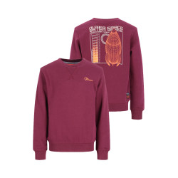 TYGO&vito Sweater Silver Merlot