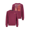 TYGO&vito Sweater Silver Merlot