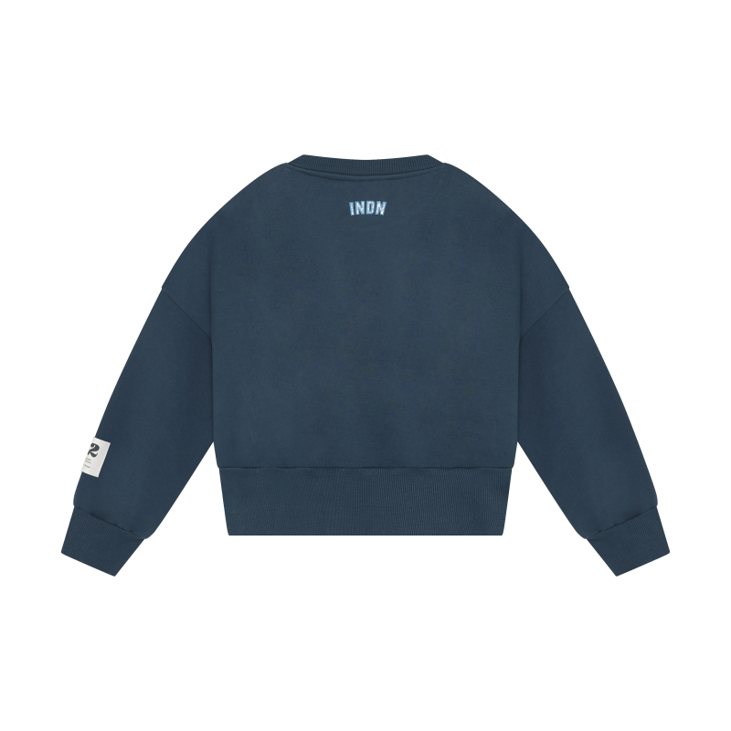 Indian Blue Jeans Sweater Fancy Insignia Blue