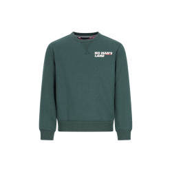 TYGO&vito Sweater Silver Storm Green