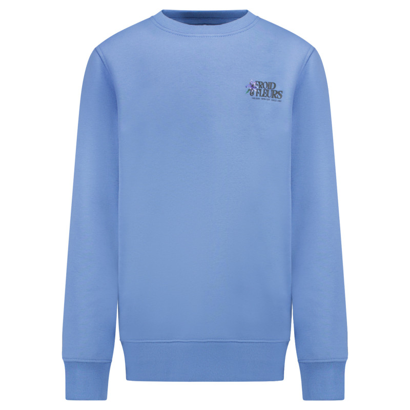 Cars Kids FROY SW Backprint Grey Blue